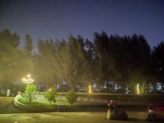 -宝安西湾红树林湿地公园