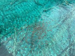 -道合堂·中式按摩·spa(民治店)
