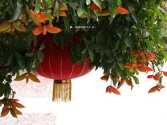 景点-惠州西湖丰渚园