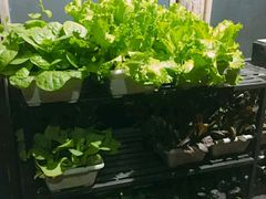 -旅马餐厅(茅家埠店)