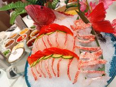 东星斑-新一哥粤菜火锅(瑞金店)