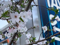 -超体空间SoReal VR(迪士尼小镇店)