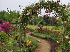 -长春市南湖公园