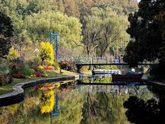 -上海共青森林公园