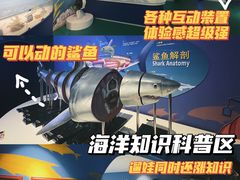 -烟台海昌鲸鲨海洋公园
