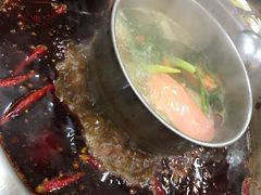 -金鼎雪山牦牛杂火锅(理县总店)