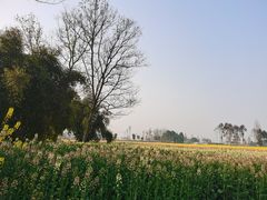 -中国天府农业博览园