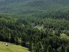 -莫尔道嘎国家森林公园