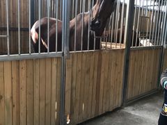 -月河湾马术俱乐部(朝阳店)