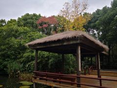-上海滨江森林公园