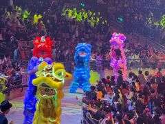 -广州长隆国际大马戏