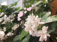 -九月生活(清波街店)