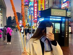 -新雅粤菜馆(南京东路店)