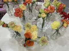 -予荷舞蹈(盛景校区)