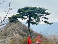 -秦岭终南山世界地质公园翠华山景区