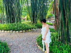 -桤木河湿地公园