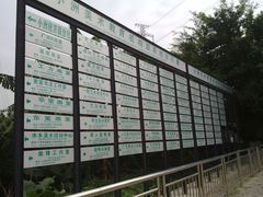 -小洲村