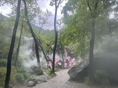 -秦岭终南山世界地质公园翠华山景区