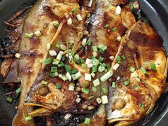 -食家鸽园