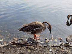 -沈阳鸟岛