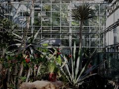 -国家植物园南园