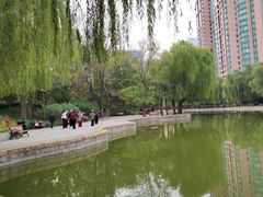 -团结湖公园