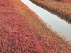 -红海滩国家风景廊道
