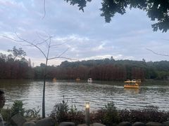 -星湖旅游景区七星岩