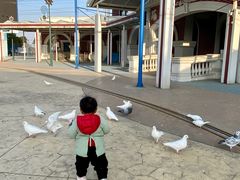 -芜湖新华联大白鲸海洋公园