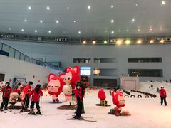 -哈尔滨热雪奇迹
