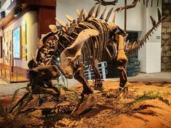 -自贡恐龙博物馆