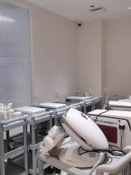 点击看大图 -WENDY·温迪皮肤管理