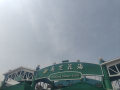 -荷兰花海