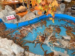 -耕海蟹将军(万象城店)