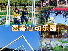 -盈香心动乐园