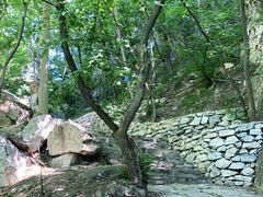 -北京上方山国家森林公园