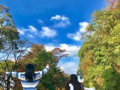 -广州市石门国家森林公园