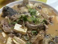 -煲来饱去冷水鱼