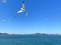 -巧克力渔家.小船海鲜胶东菜(万平口店)