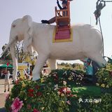 武汉欢乐谷街头艺术节强势来袭～十一特别节目《打码头》激情开演