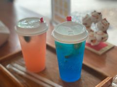 -柴犬高等学院·狗咖·柴犬售卖·宠物训练