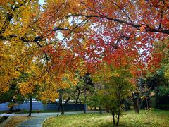 -国家植物园南园