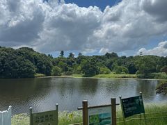 -福建鲤鱼洲酒店