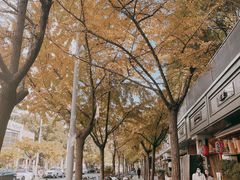 -小狗面馆·杭帮拌川·片儿川(大沽路店)