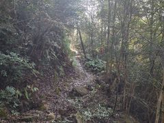 -四明山国家森林公园