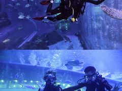 -成都浩海立方海洋公园