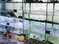 -海之鲜大排档(东山海鲜金銮湾店)