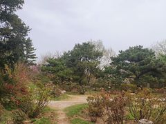 -国家植物园南园