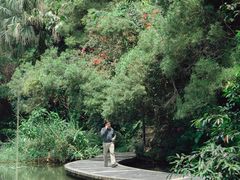 -燕晗山郊野公园