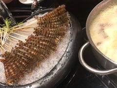 -官也街澳门火锅(新源里店)